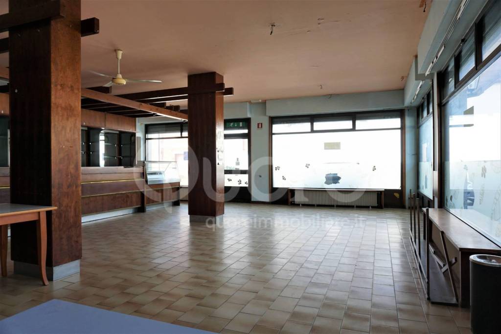 immagine annuncio 4 di 14