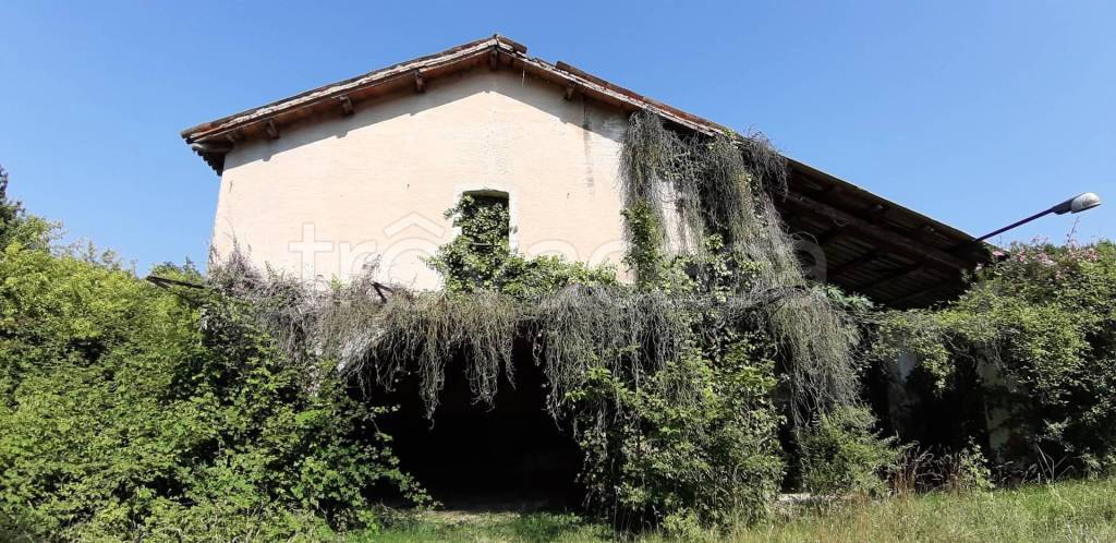 immagine annuncio 3 di 12