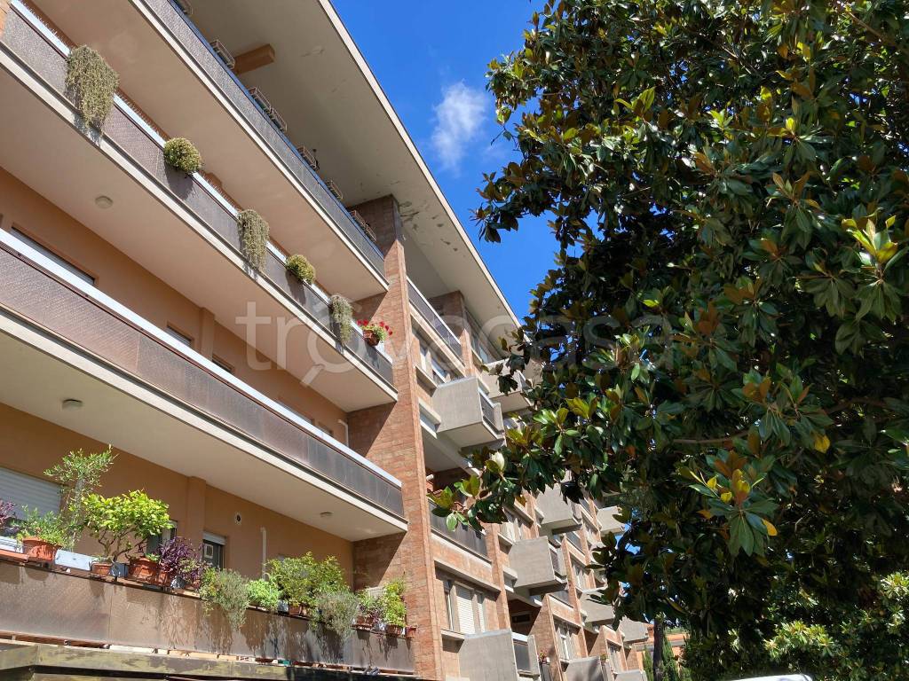 immagine annuncio 8 di 9