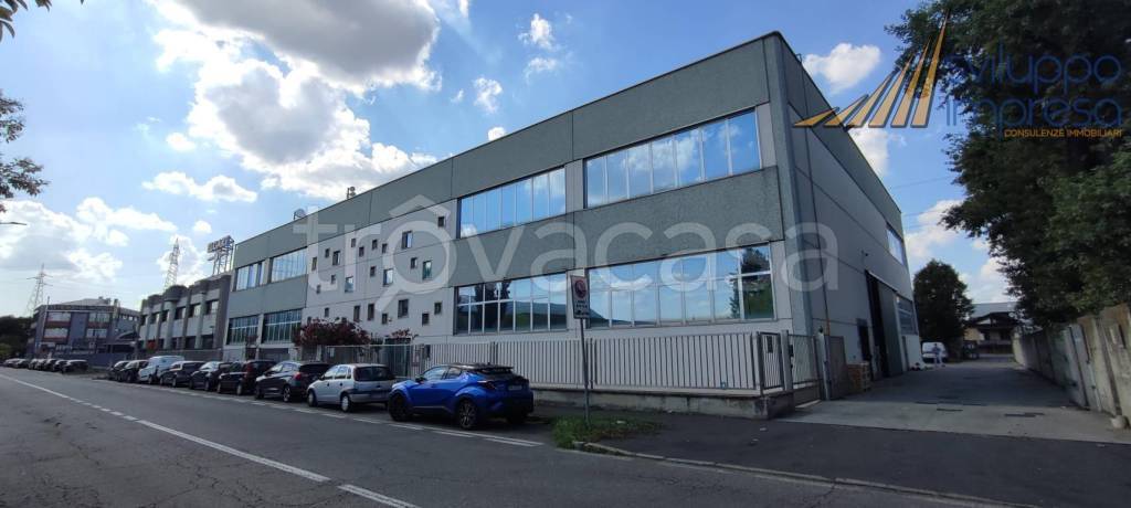 immagine annuncio 3 di 15