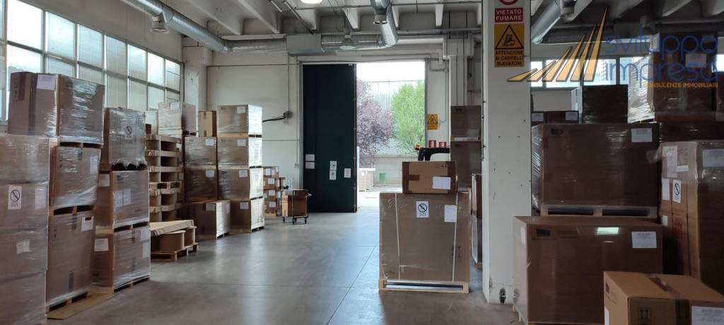 immagine annuncio 5 di 15