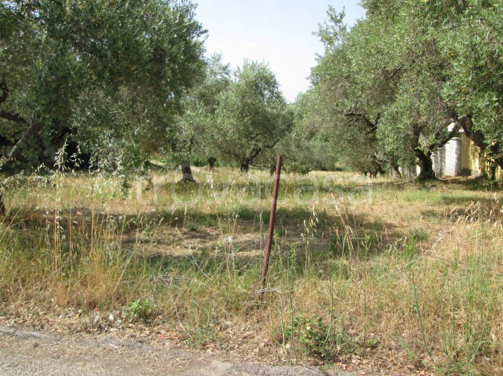 immagine annuncio 2 di 3