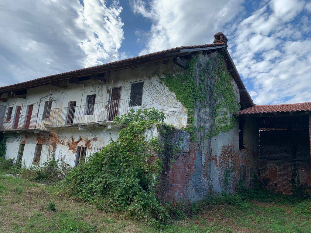 immagine annuncio 1 di 11
