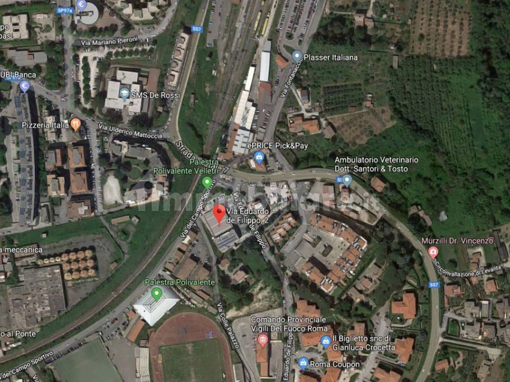 immagine annuncio 13 di 15