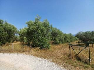 Terreno agricolo in vendita ad alatri via basciano