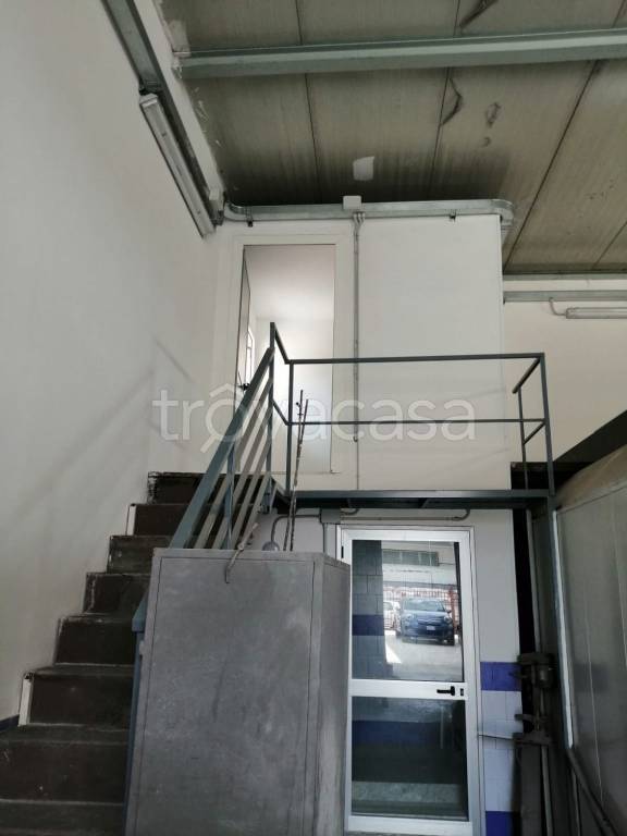 immagine annuncio 9 di 12