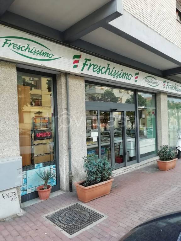 Negozio Alimentare in in vendita da privato ad Ascoli Piceno via 3 Ottobre