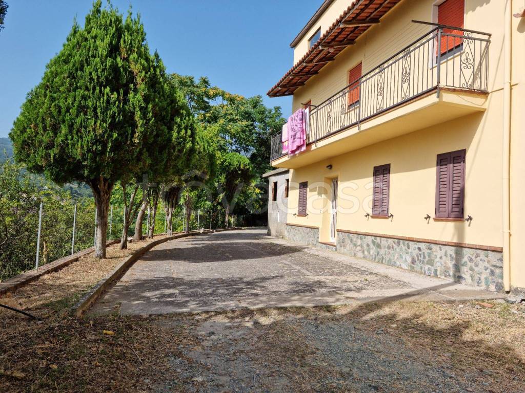 Villa Bifamiliare in in vendita da privato a Cetraro località Valle