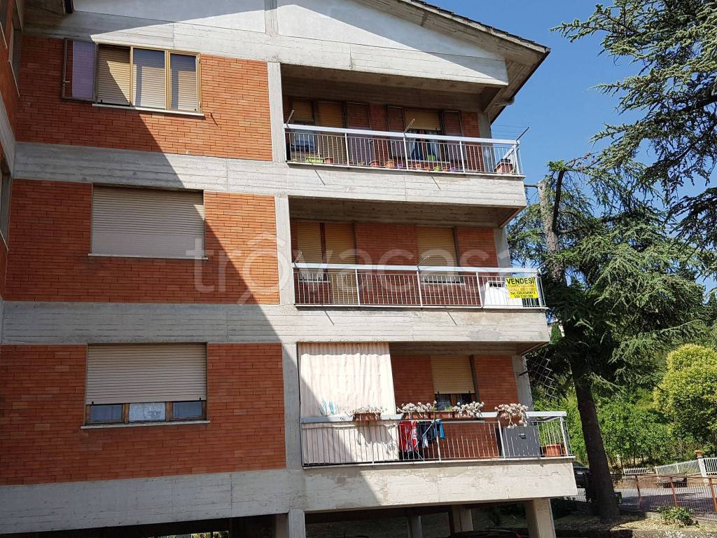Appartamento in in vendita da privato a Chiusi via Pozzarelli, 11