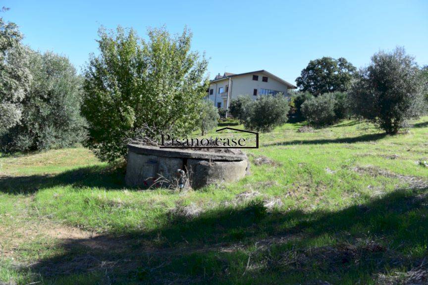 Terreno Residenziale in vendita a San Marco Argentano serra d'Asino