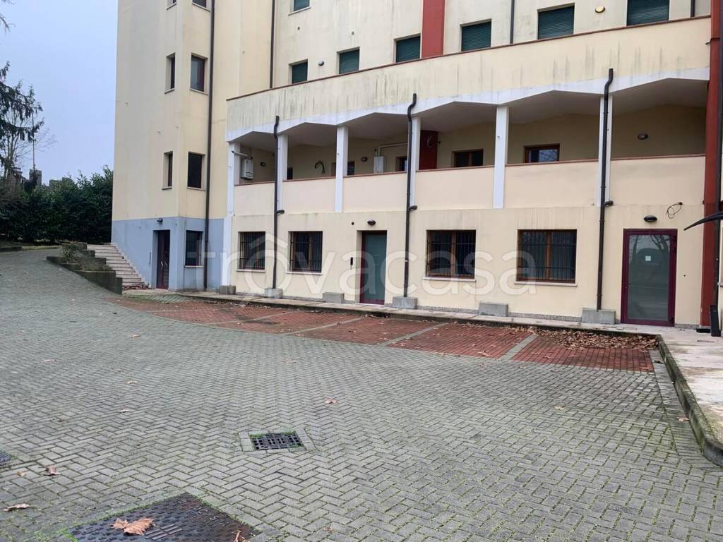immagine annuncio 7 di 15