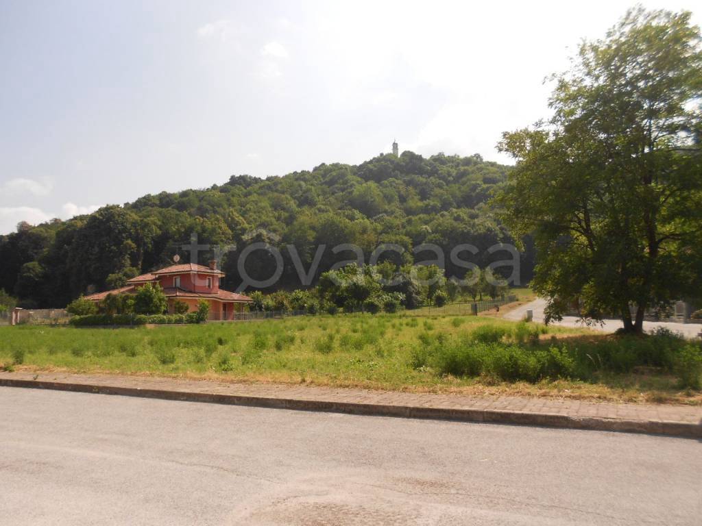 immagine annuncio 10 di 12