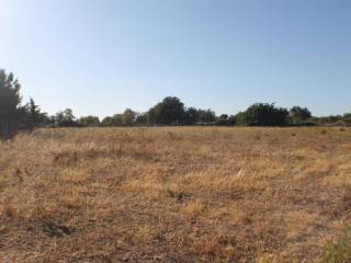 Terreno agricolo in vendita a scicli contrada santa rosalia