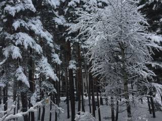 Appartamento in in affitto da privato a bardonecchia viale san francesco, 37