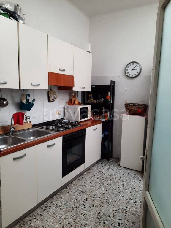immagine annuncio 11 di 14