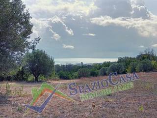 Terreno agricolo in vendita a giulianova strada comunale cavone