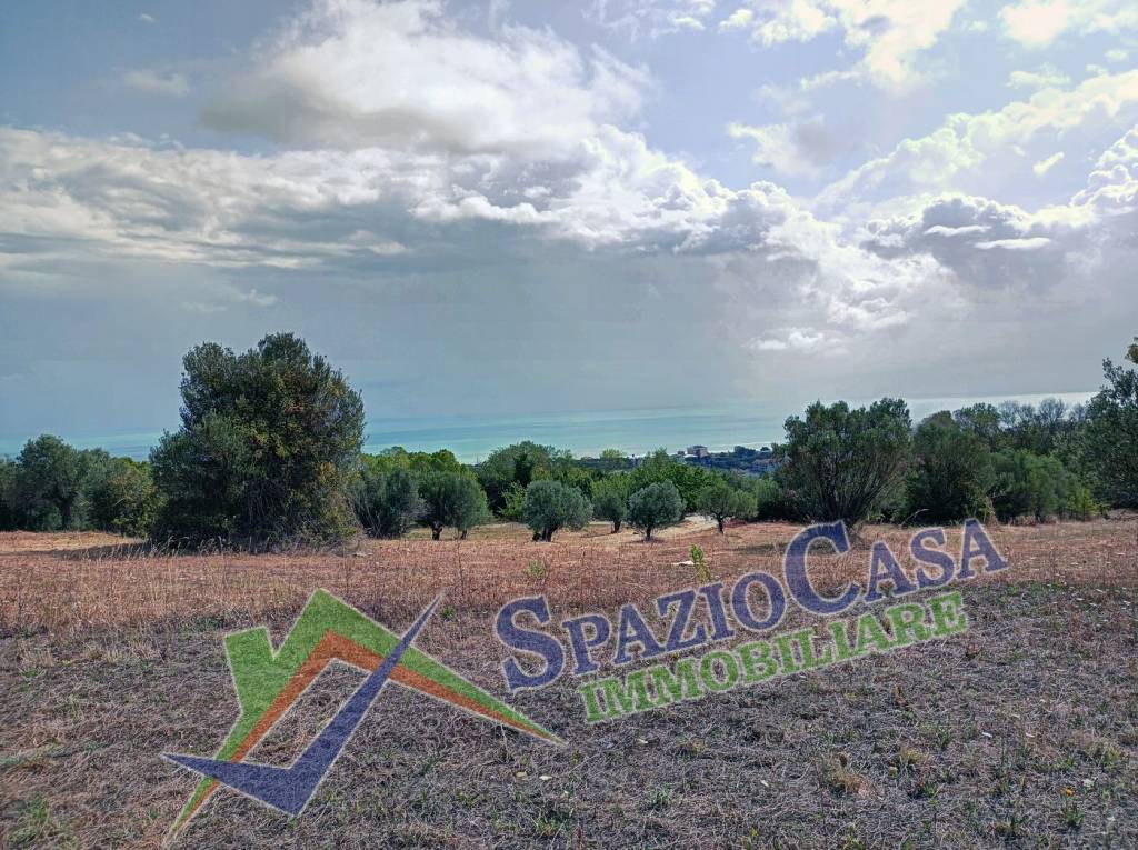 immagine annuncio 4 di 8