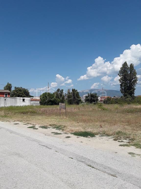immagine annuncio 2 di 4
