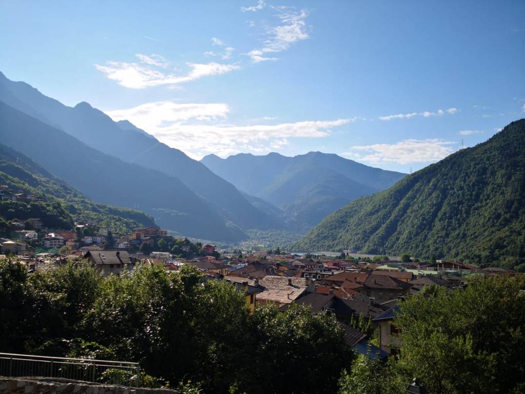 immagine annuncio 6 di 12