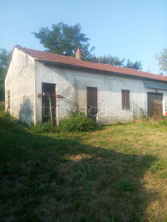 Casa Indipendente in in vendita da privato a Casale Monferrato strada San Giorgio Lanza, 1