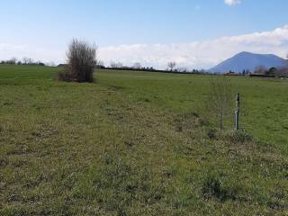 Terreno agricolo in affitto a rivoli via della castagna