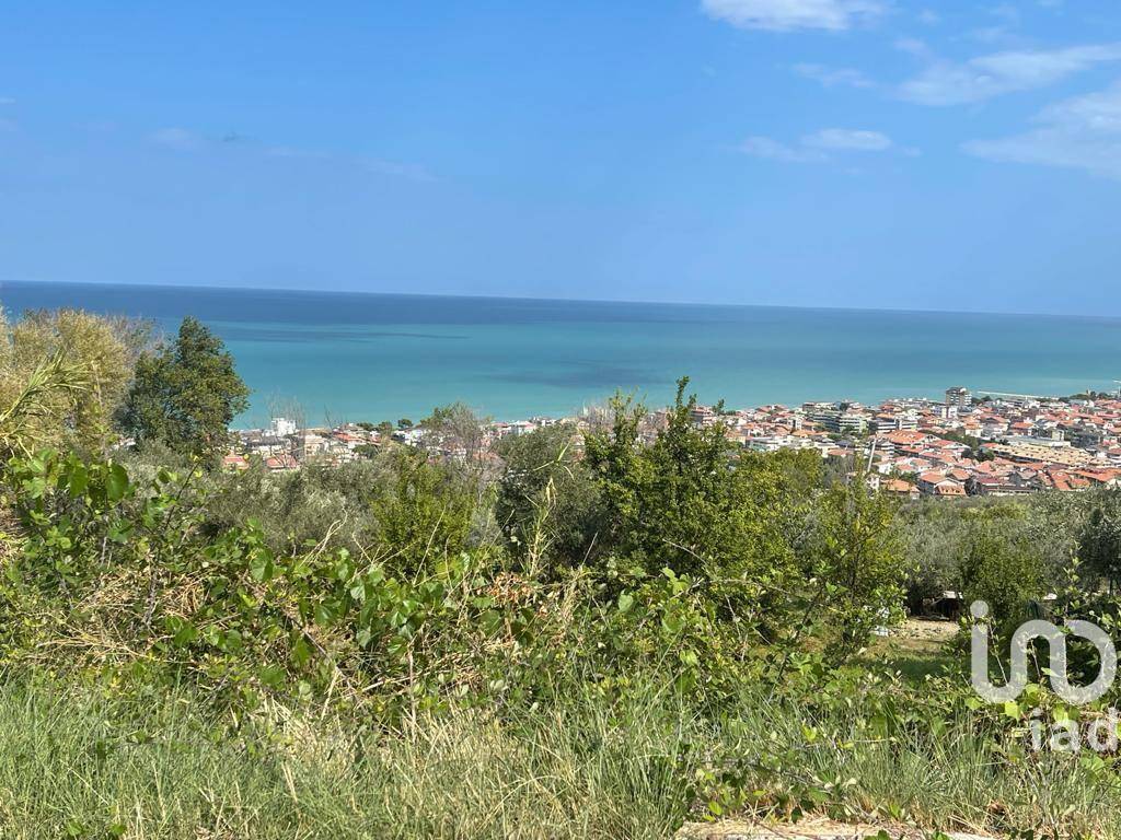 immagine annuncio 1 di 8