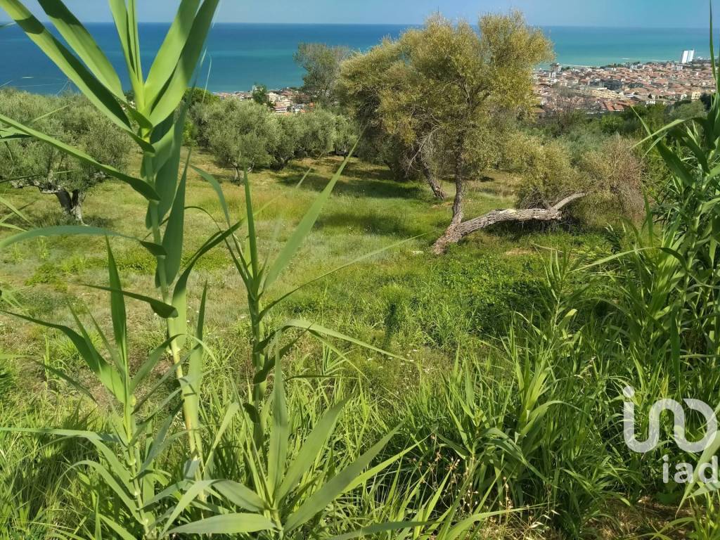 immagine annuncio 2 di 8