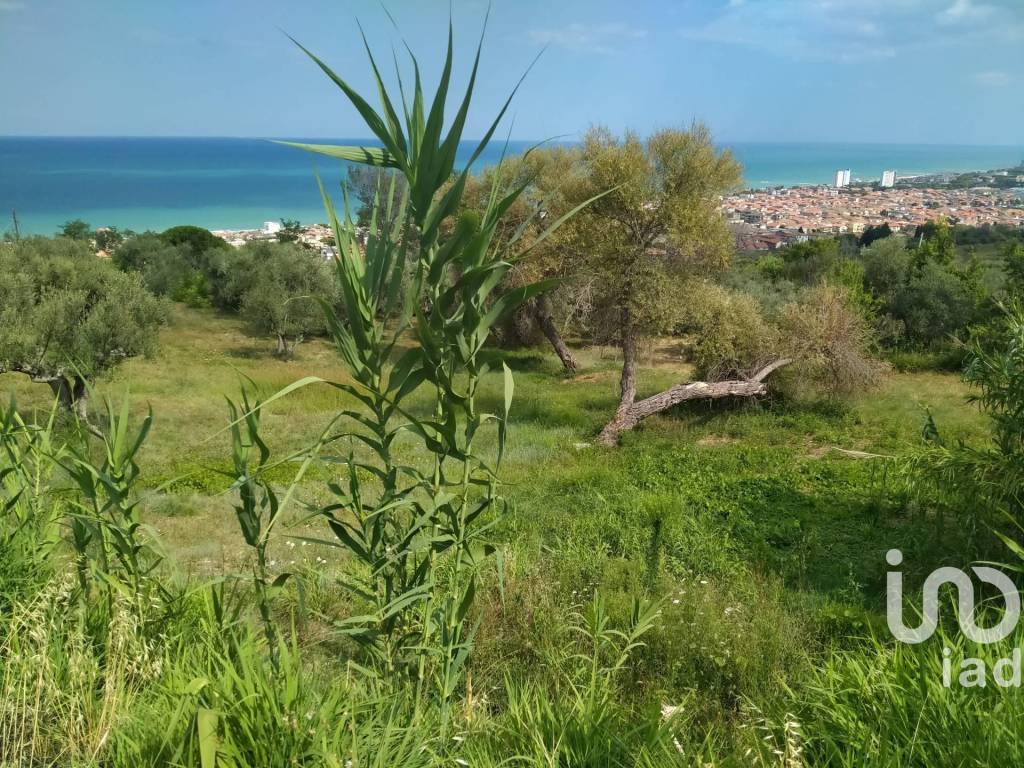 immagine annuncio 6 di 8