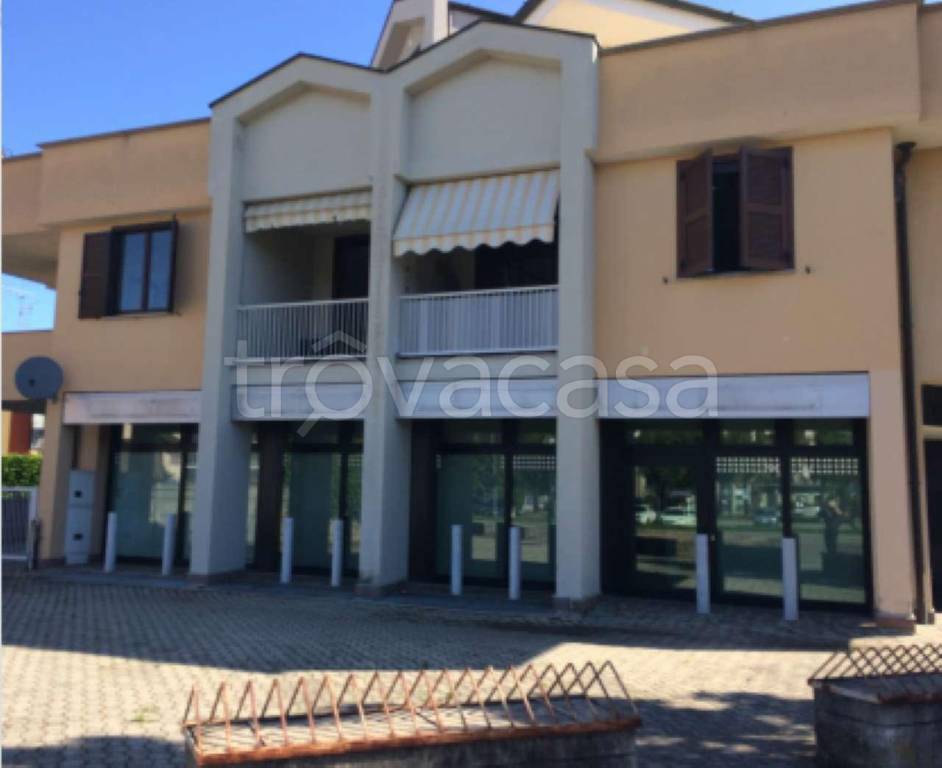 immagine annuncio 1 di 4