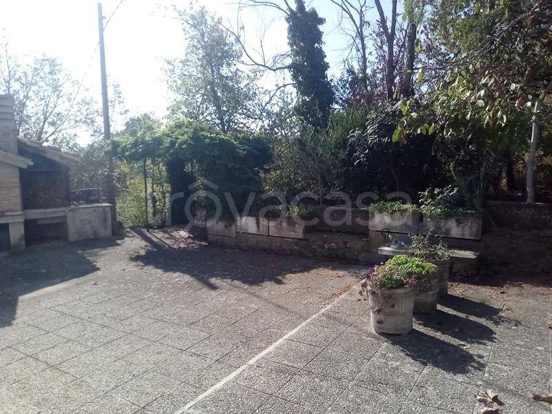 immagine annuncio 5 di 14