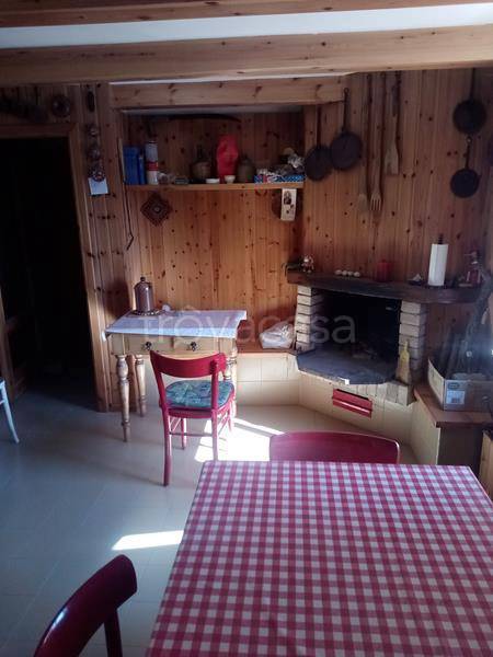 immagine annuncio 7 di 14