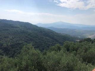 Casa indipendente in in vendita da privato ad ascea borgo san pantaleo, 16