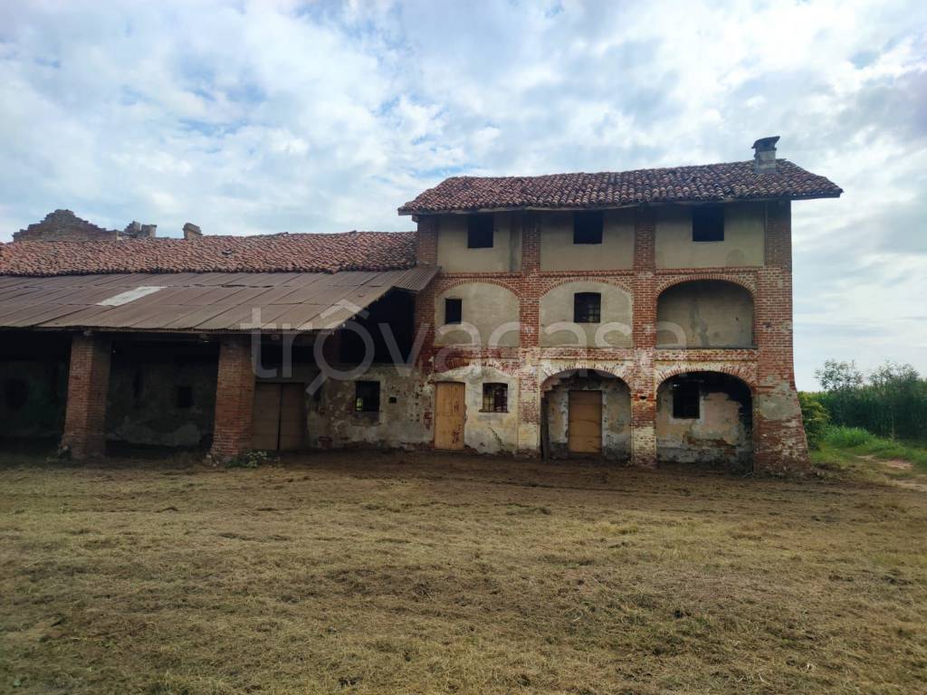 immagine annuncio 12 di 15