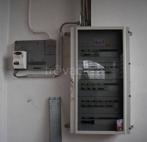 immagine annuncio 2 di 14