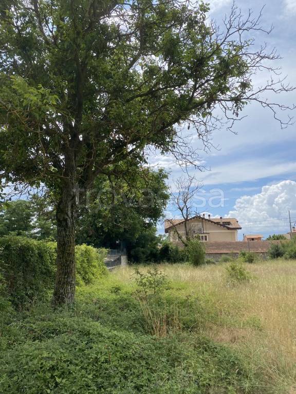 Terreno Residenziale in vendita ad Avezzano via Romana, 29
