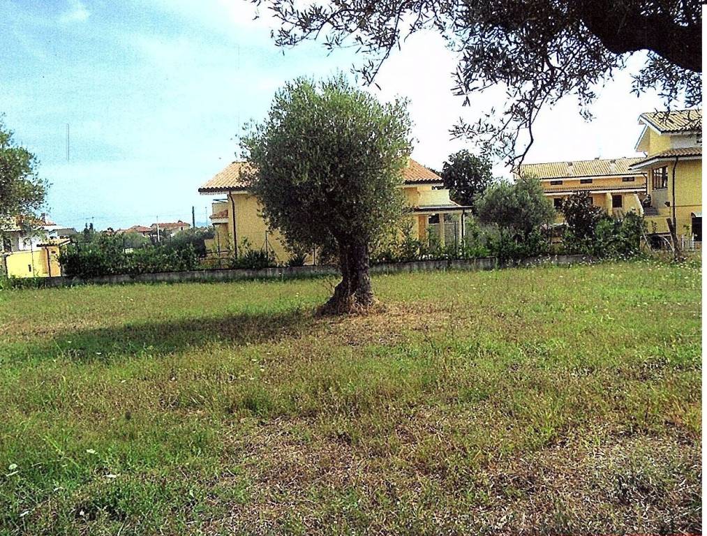 immagine annuncio 5 di 11