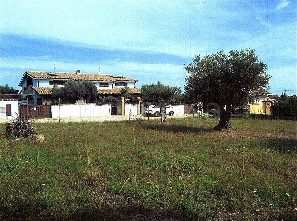 immagine annuncio 6 di 11