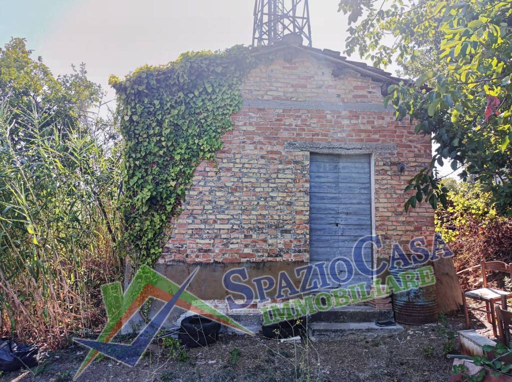immagine annuncio 7 di 8