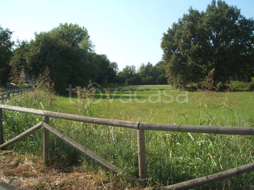 immagine annuncio 2 di 7