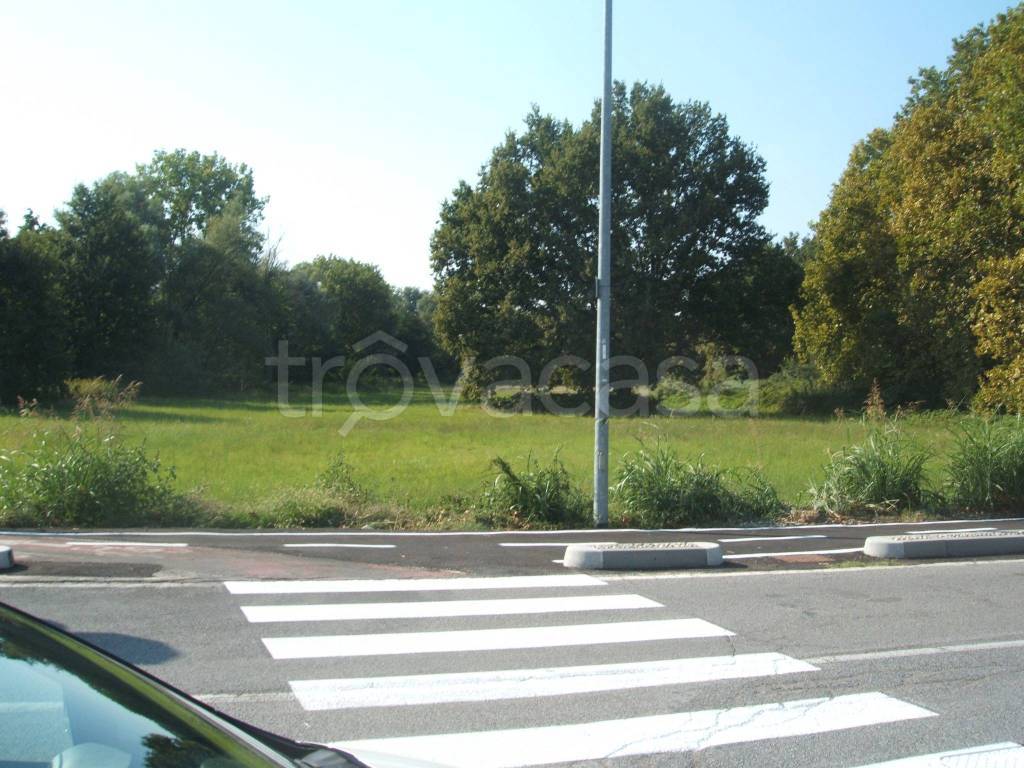 immagine annuncio 3 di 7