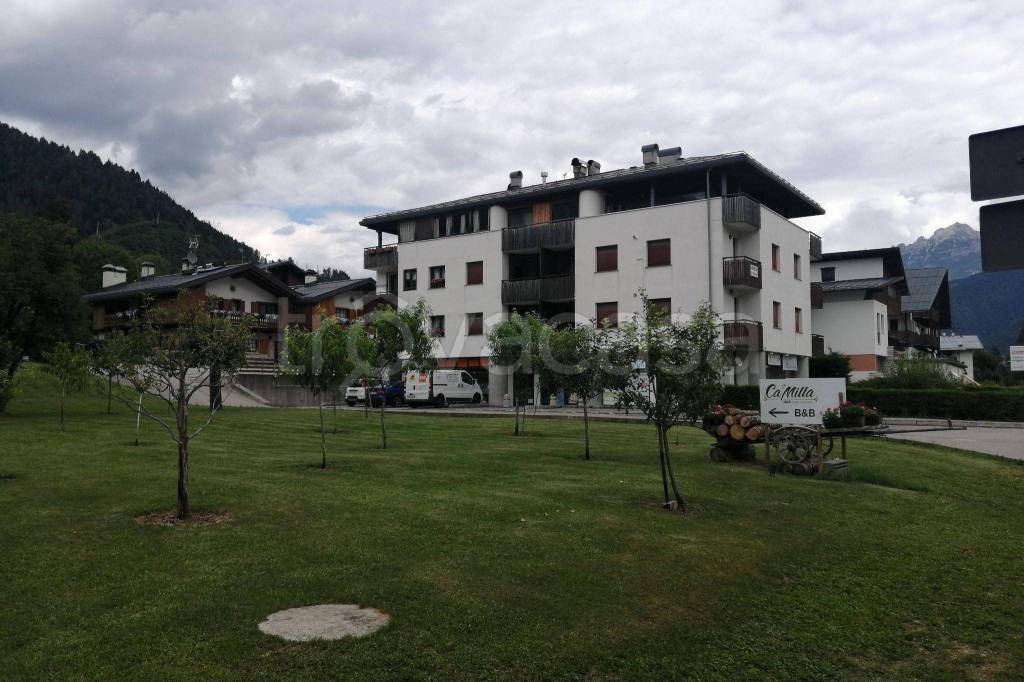 Appartamento in in vendita da privato a Pieve di Cadore via Cortina