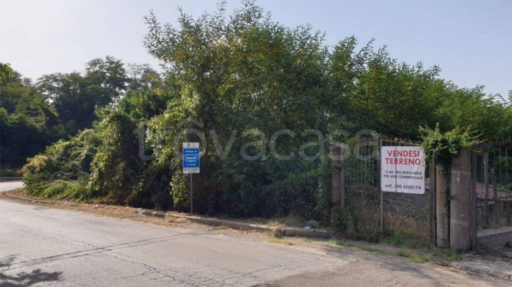Terreno Residenziale in vendita a Valentano strada Provinciale Lago Mezzano