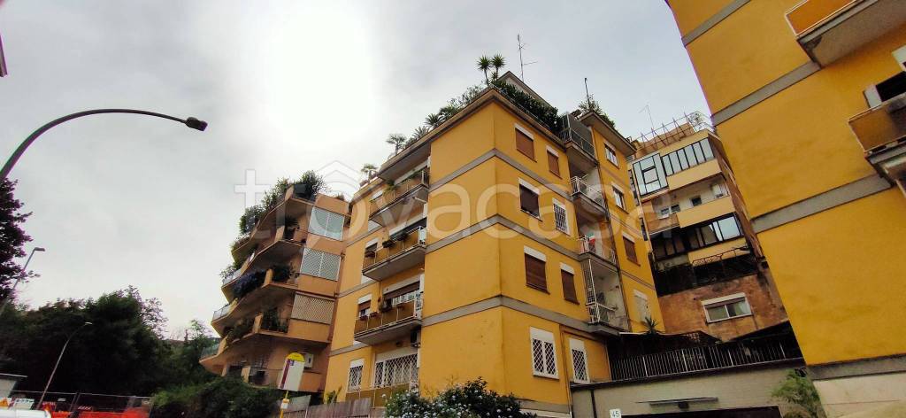 immagine annuncio 11 di 12