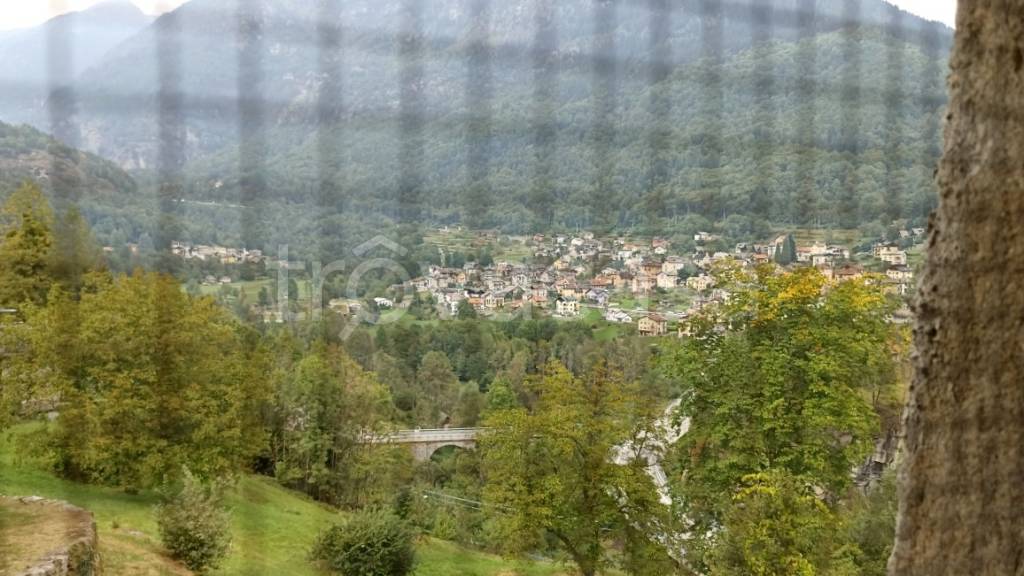 immagine annuncio 9 di 14