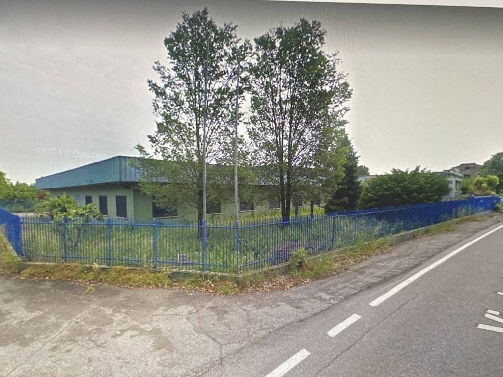 immagine annuncio 5 di 11