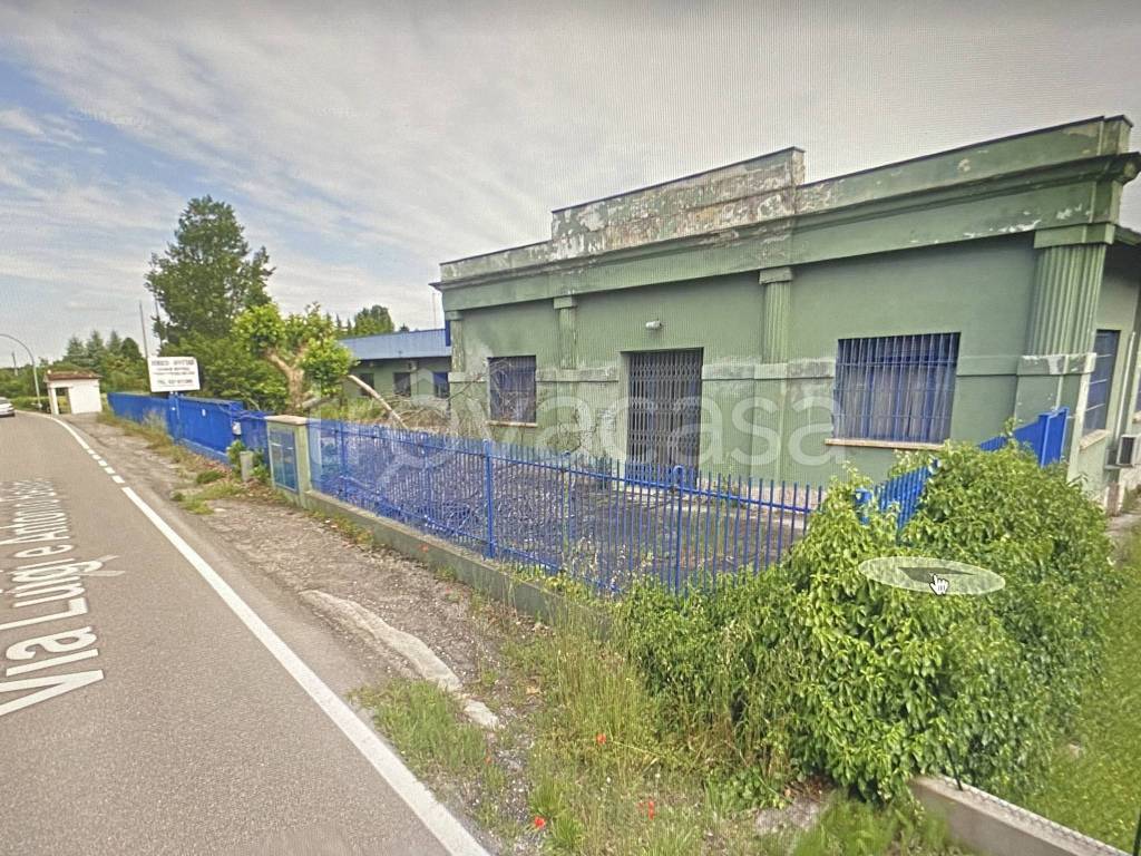 immagine annuncio 3 di 11