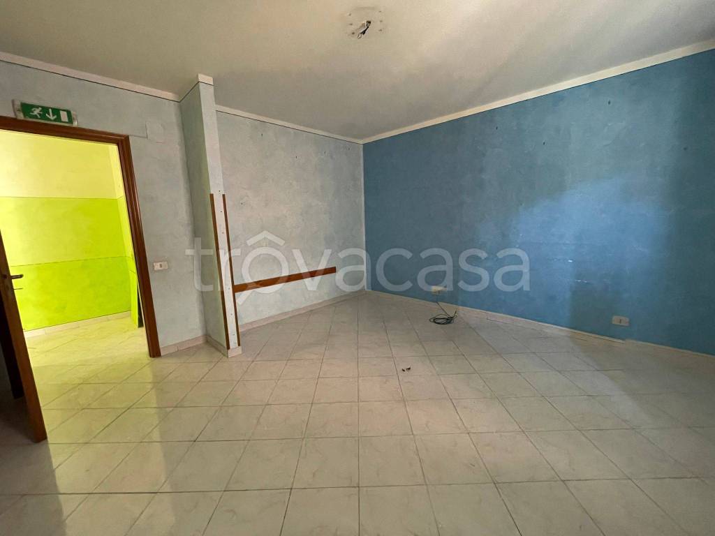 immagine annuncio 4 di 8