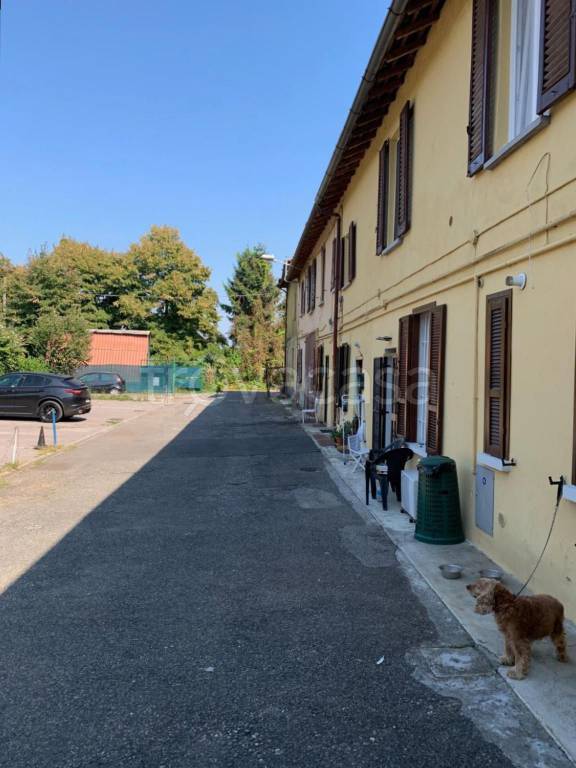 immagine annuncio 1 di 4