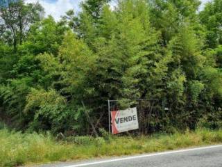 Terreno agricolo in vendita a lombardore via rivarossa