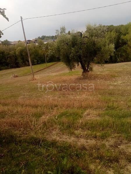 immagine annuncio 3 di 14